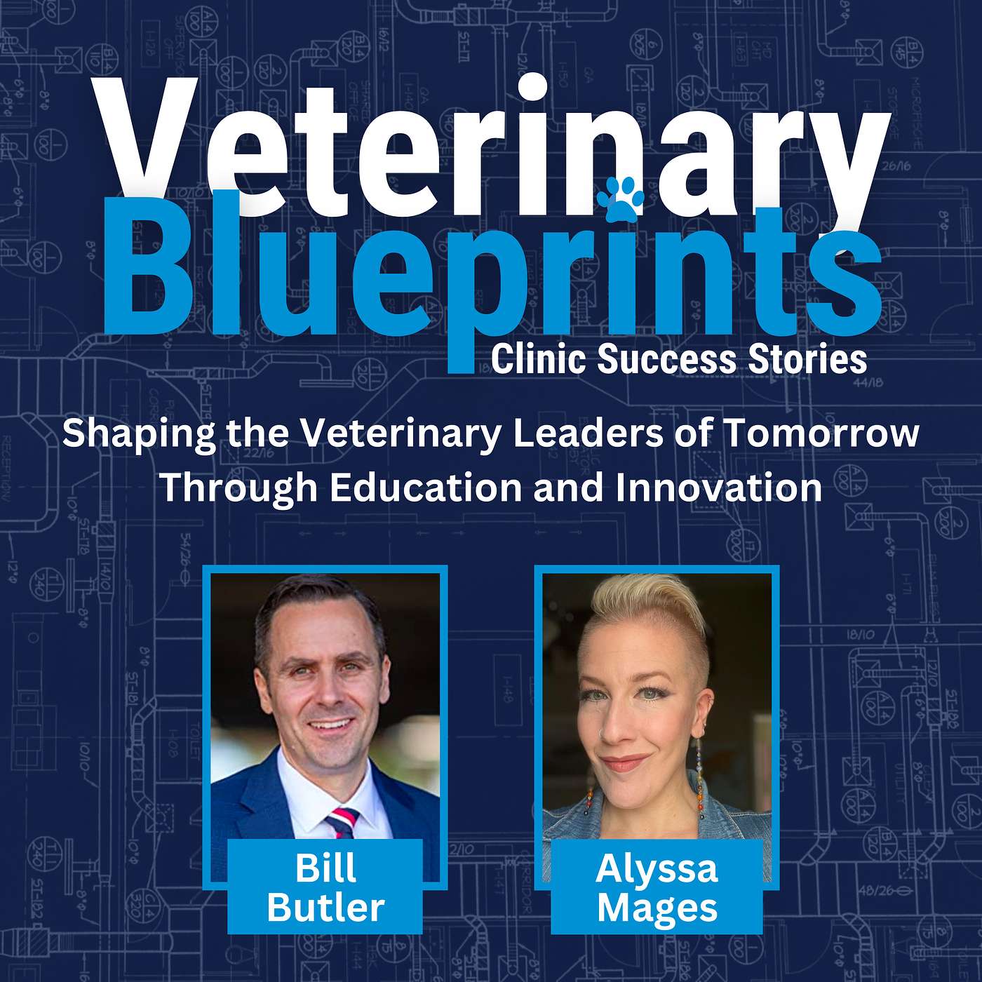#9 - Shaping the Veterinary Leaders of Tomorrow Through Education and Innovation episode artwork