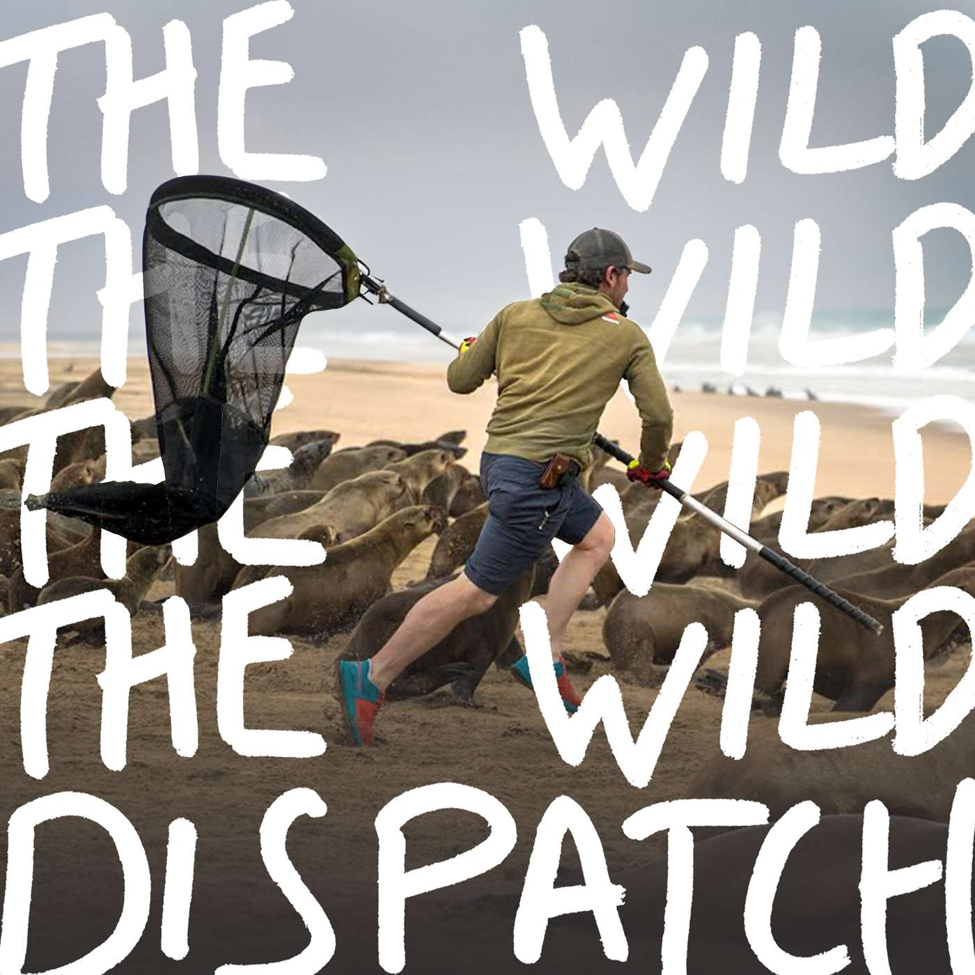 EP69: Naude Dreyer ↣ Wrestling Seals in the Name of Ocean Conservation