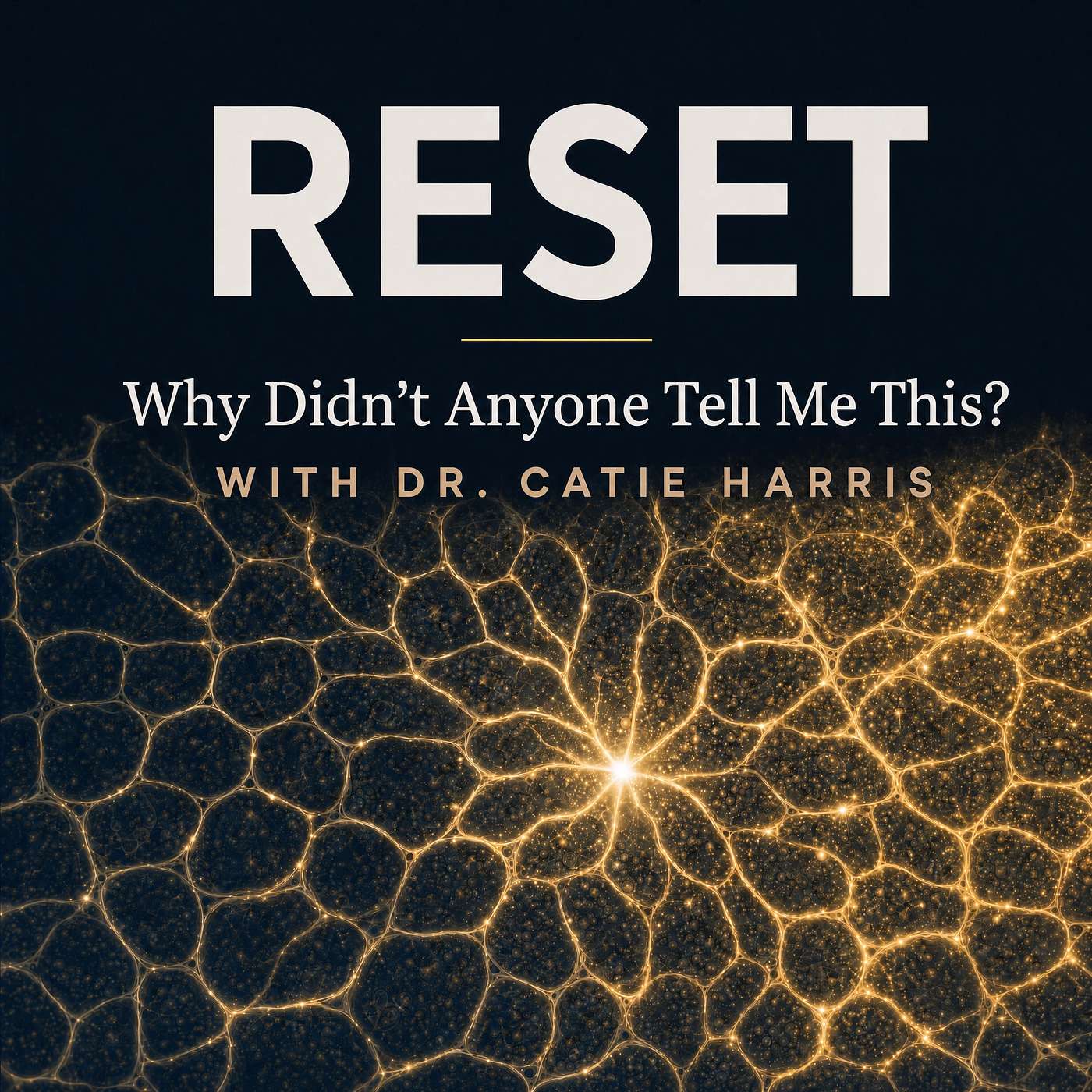 RESET podcast artwork