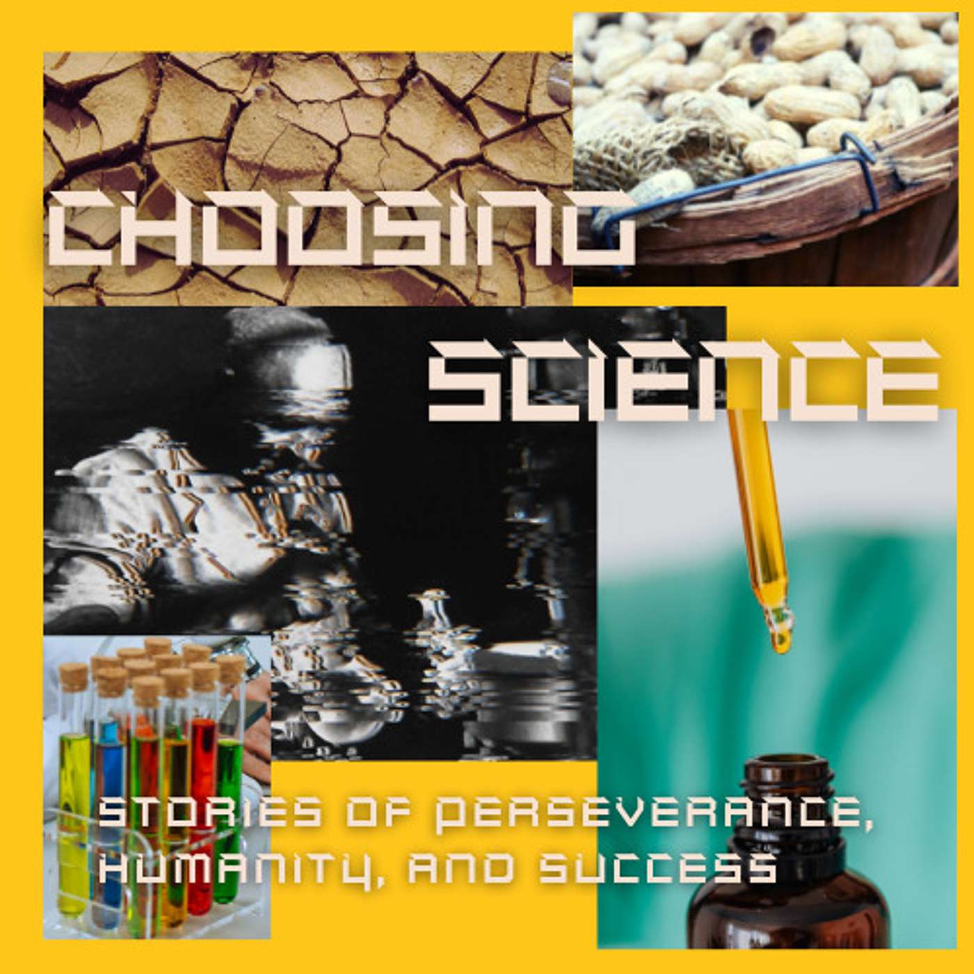 Choosing Science: Stories of Perseverance, Humanity, and Success