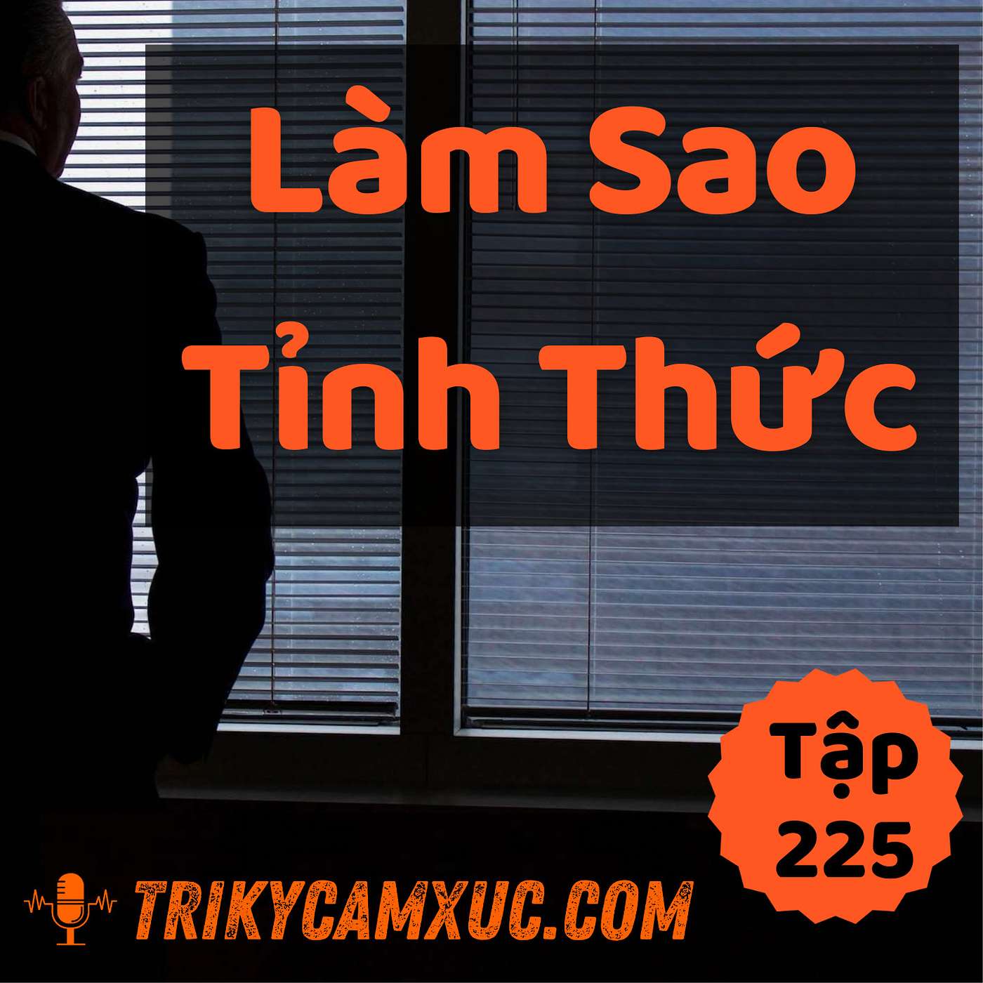 Làm Sao Tỉnh Thức (Với Thật Ít Nỗ Lực Và Kỷ Luật) - Tri kỷ cảm xúc #225