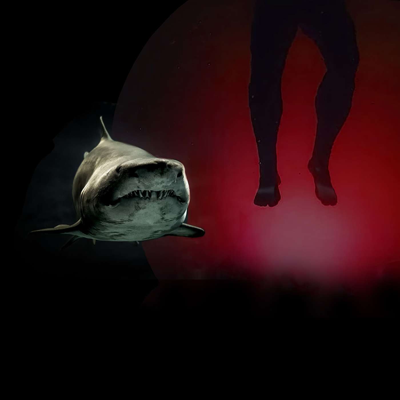 Episode 111: Bait and Switch