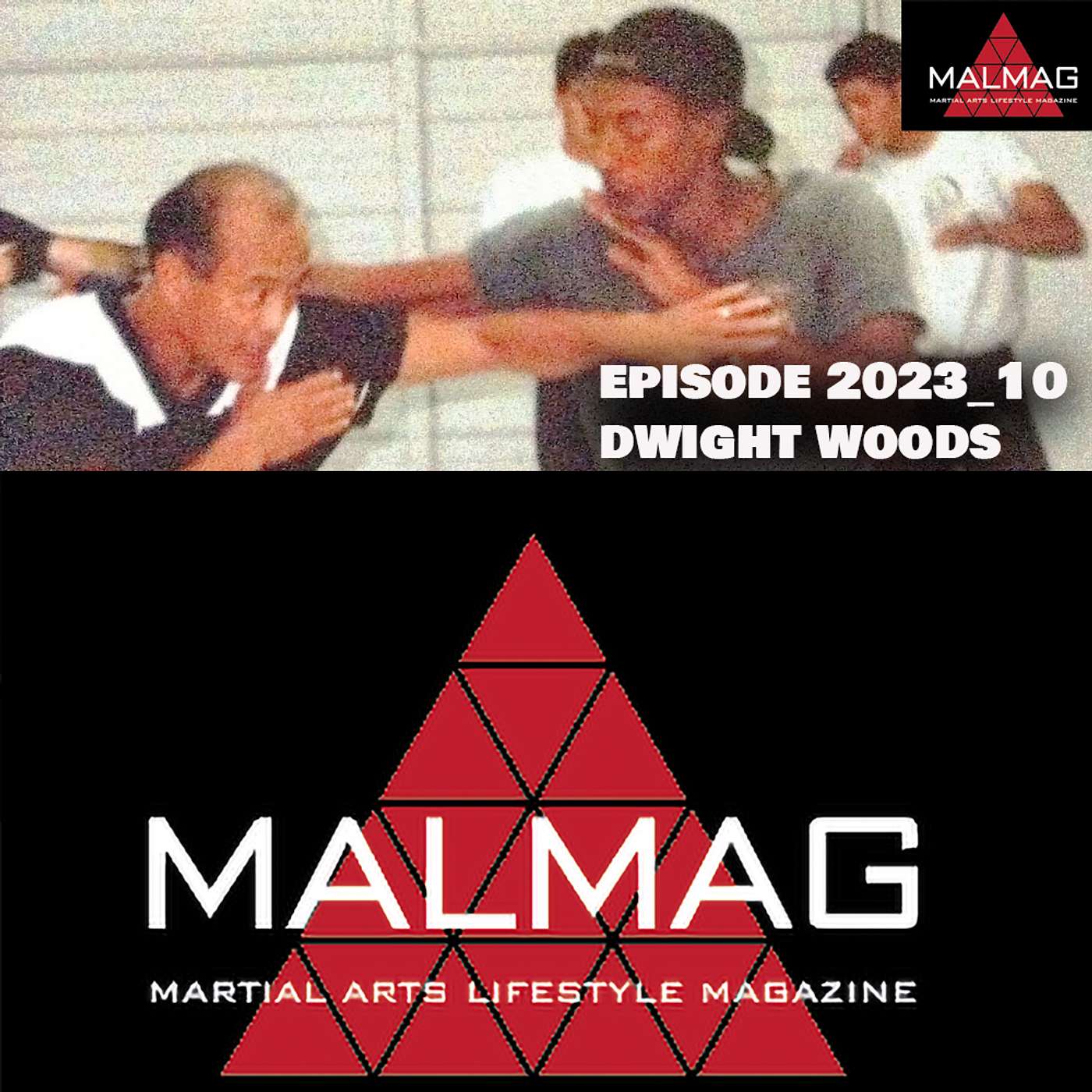 The Martial Arts Lifestyle Podcast