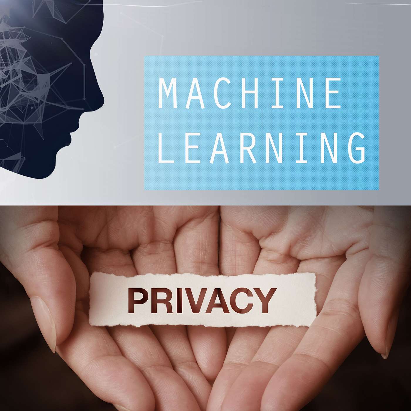 undefined - Privacy-First AI in 2025