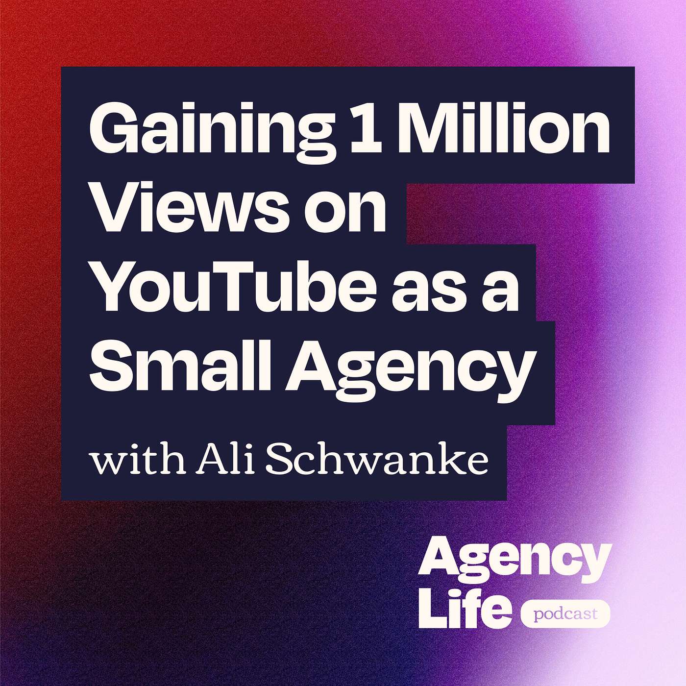 Gaining 1 Million Views on YouTube as a Small Agency w/ Ali Schwanke