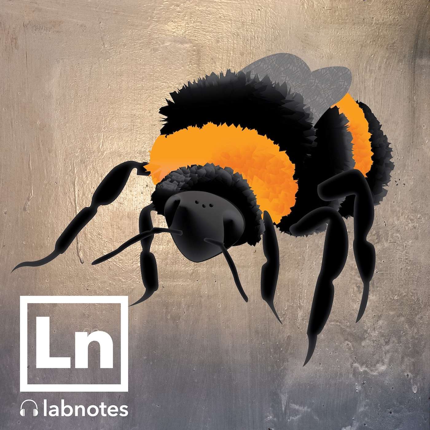Bees suffer from social isolation too