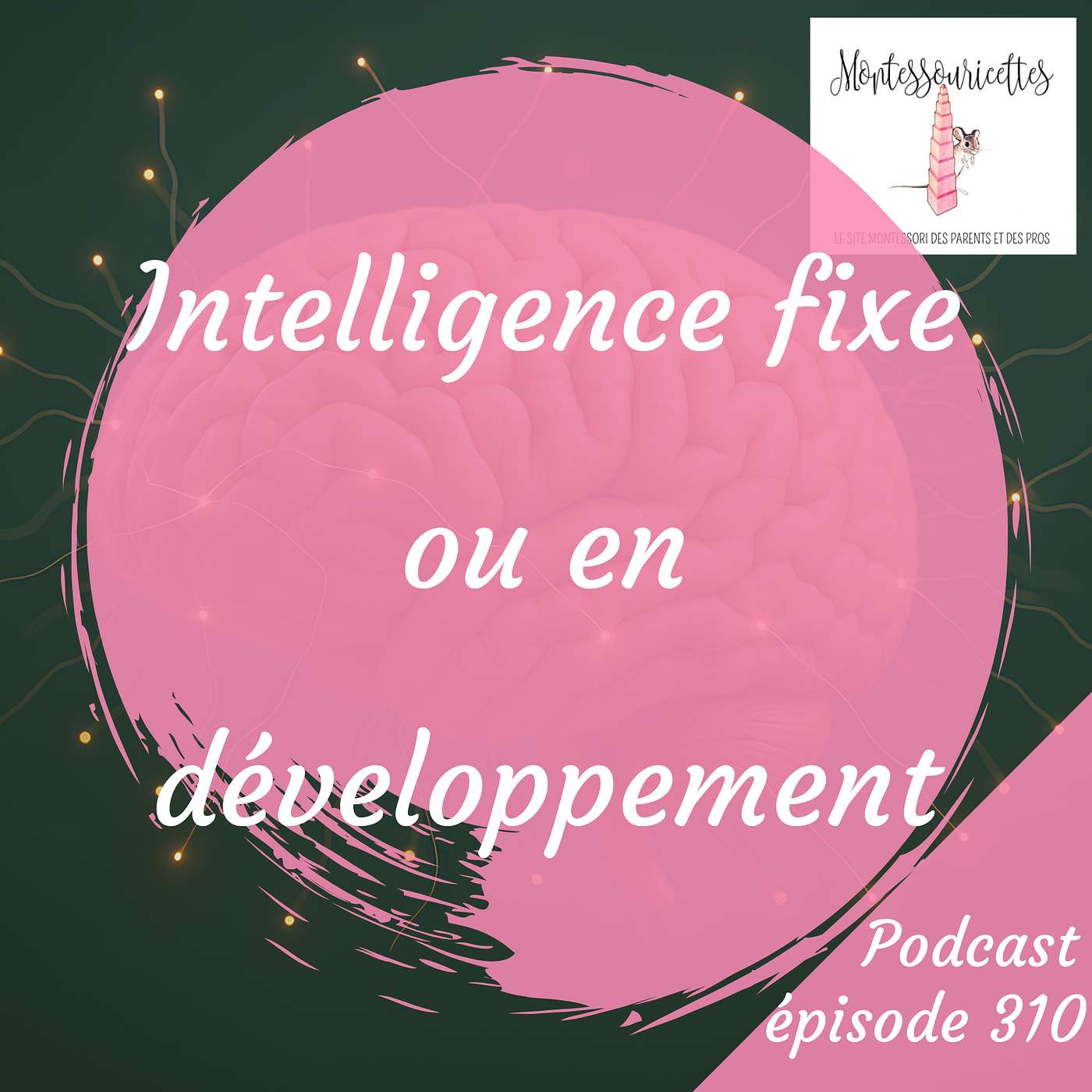 310. Intelligence fixe ou en développement (Redif) 310. Intelligence fixe ou en développement (Redif)