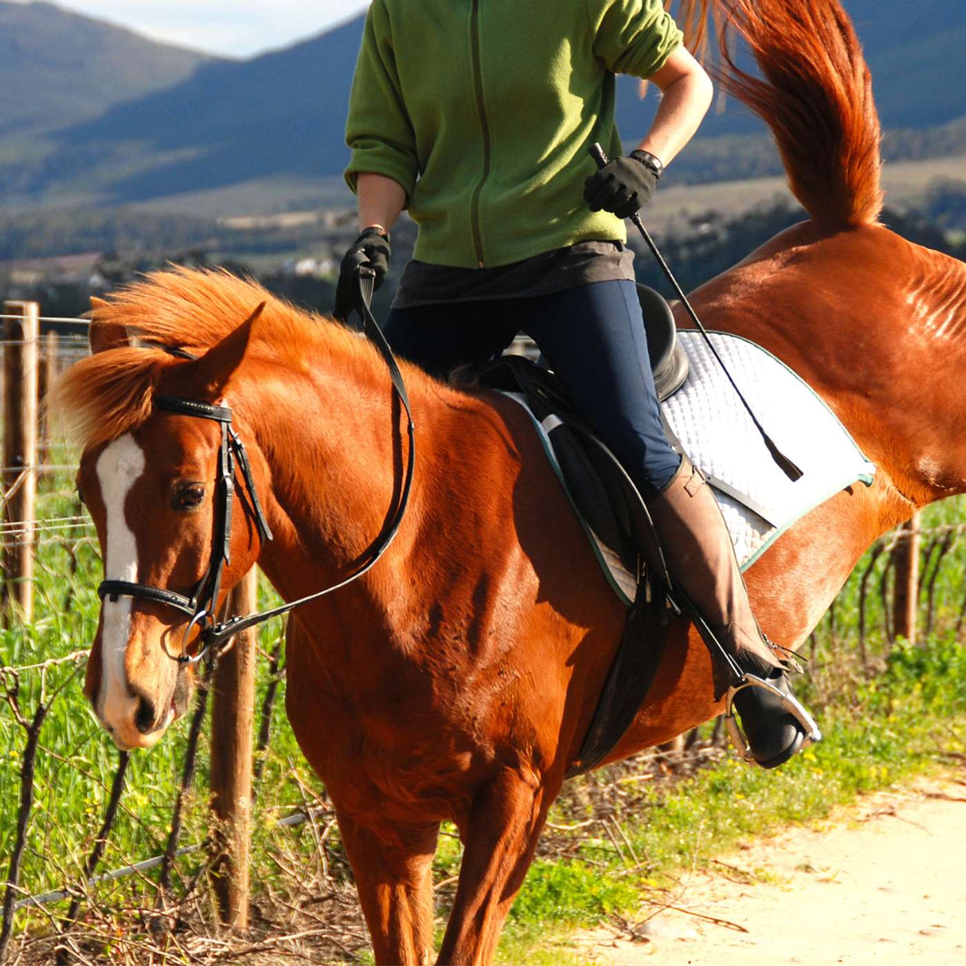 Holistic Horseworks Talks with April Love
