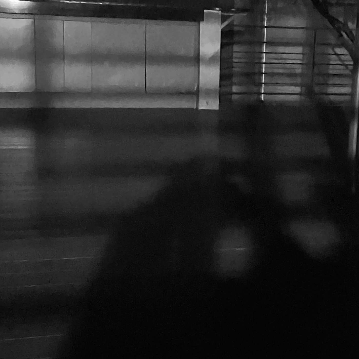 you (ft. Caballo Suave)