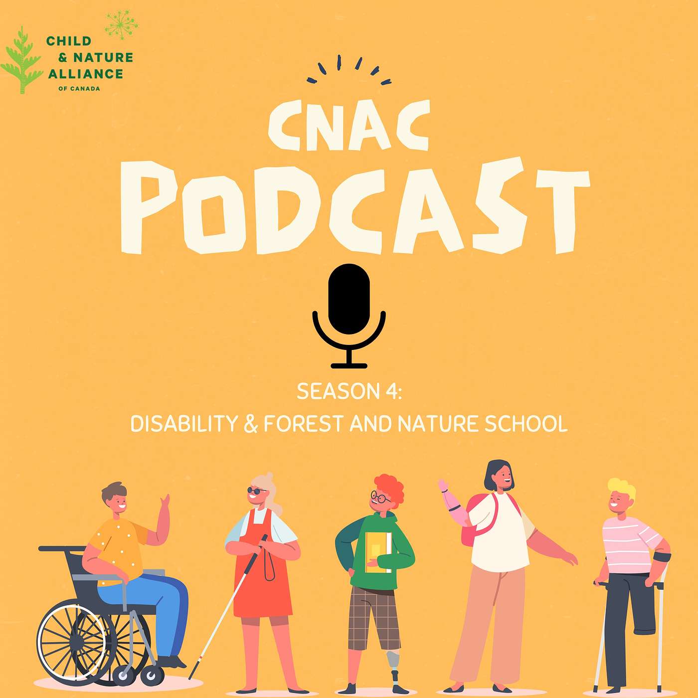 FNS and Disability: No Such Thing as Perfect FNS and Disability: No Such Thing as Perfect