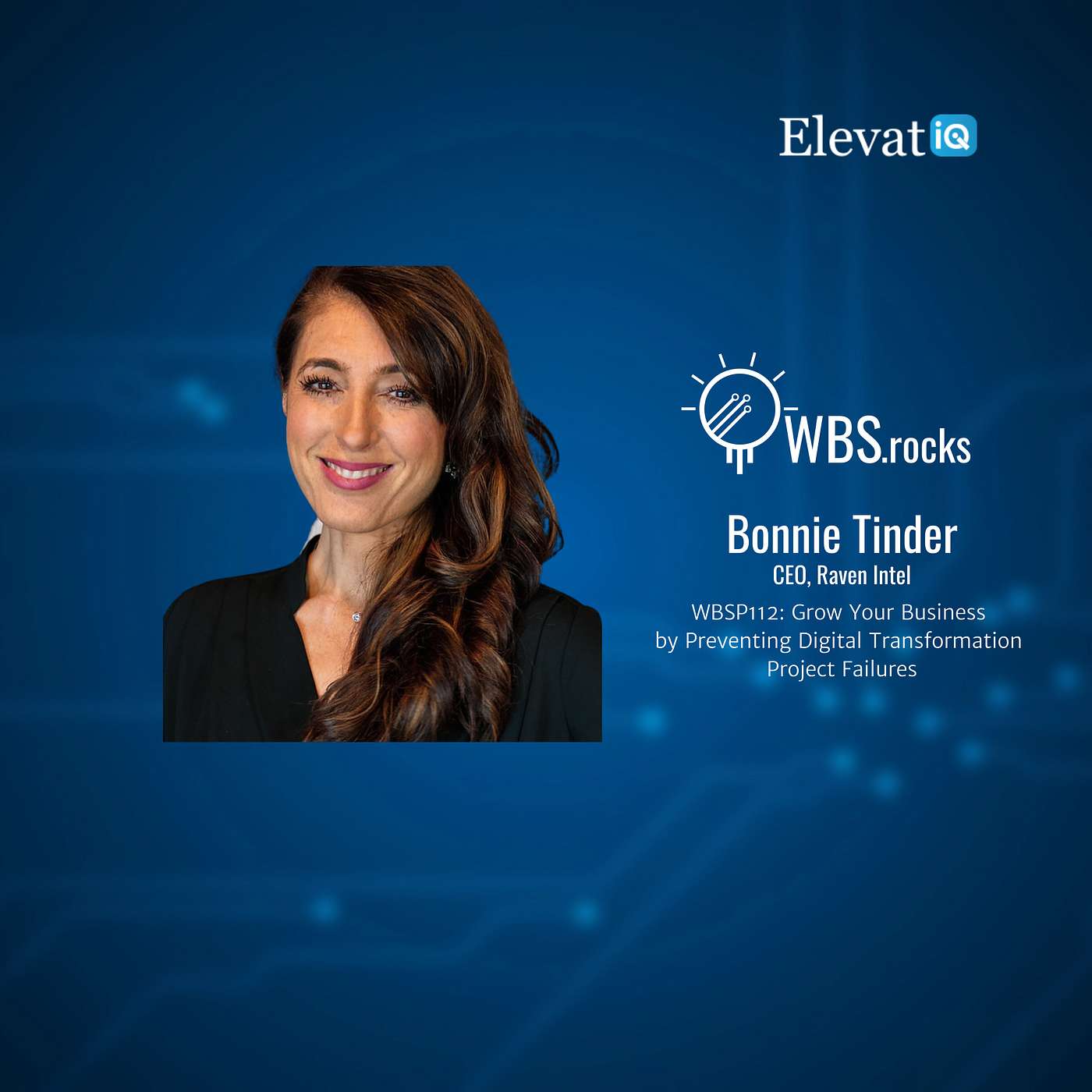 WBSP112: Grow Your Business by Preventing Digital Transformation Project Failures w/ Bonnie Tinder
