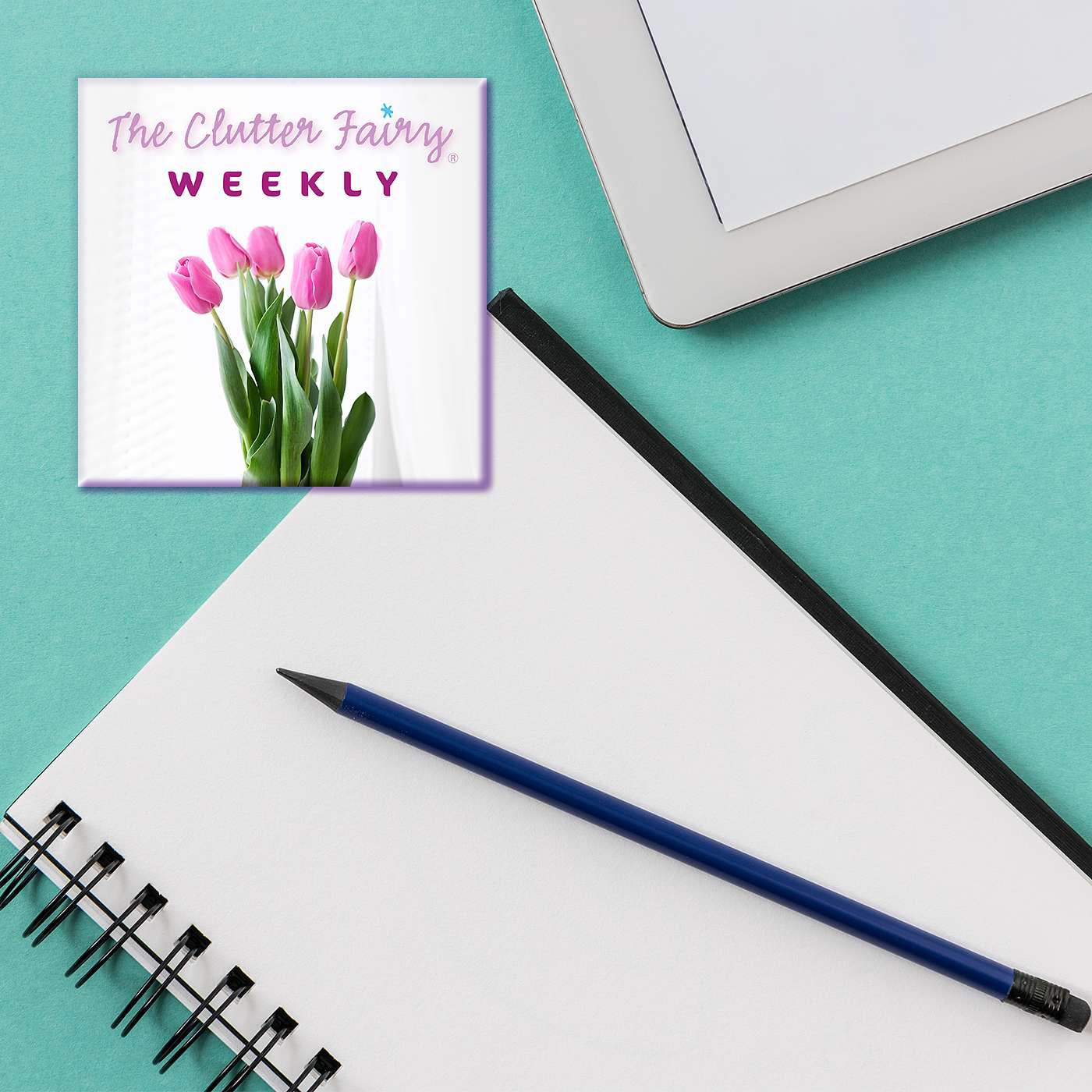 Balancing Work, Life, and So Much More: Clutter in the Home Office - The Clutter Fairy Weekly #129