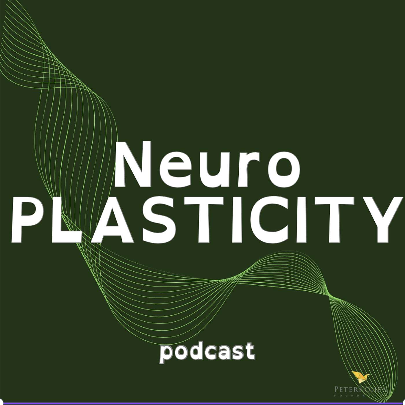NeuroPlasticity