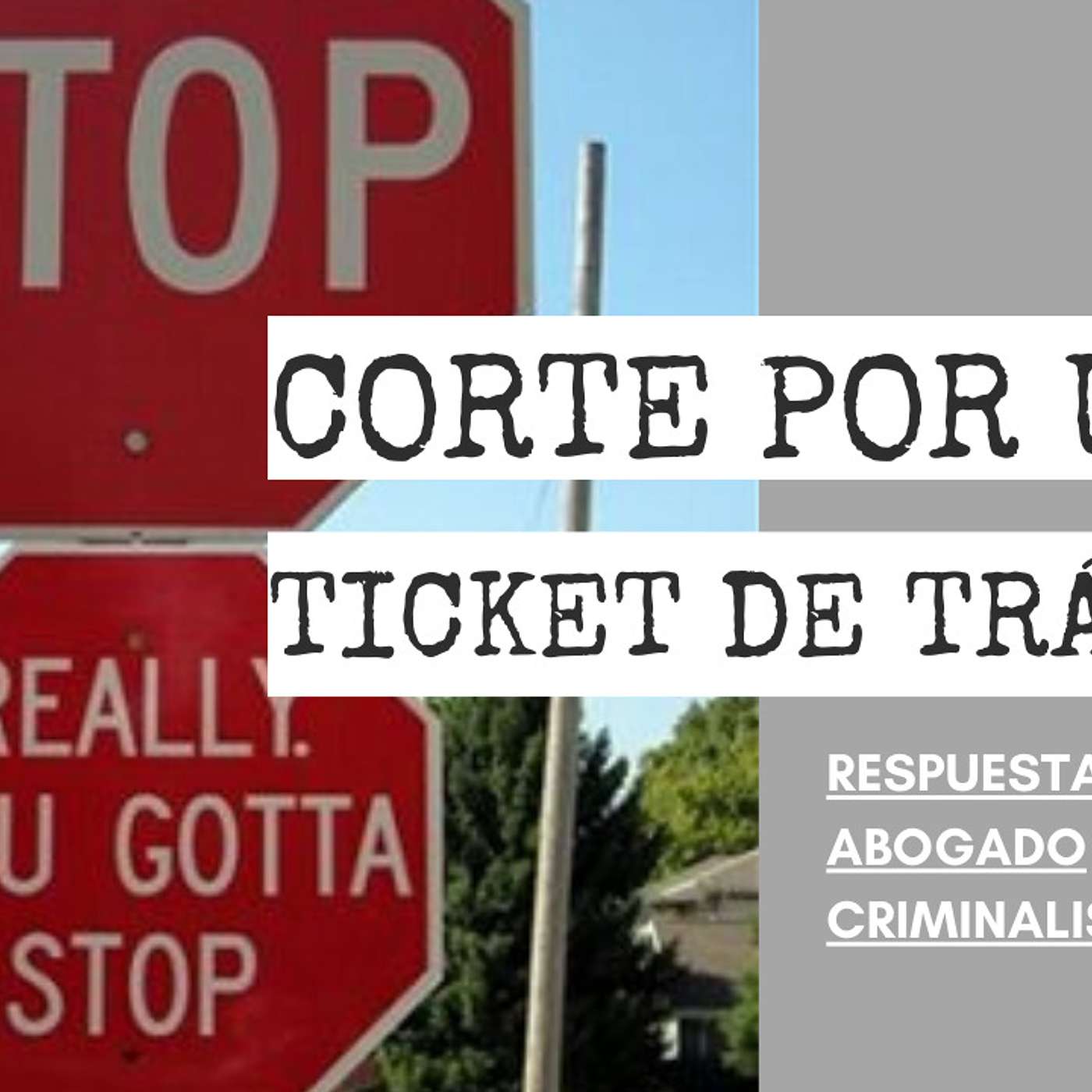 Abogado Criminalista Área de la Bahía