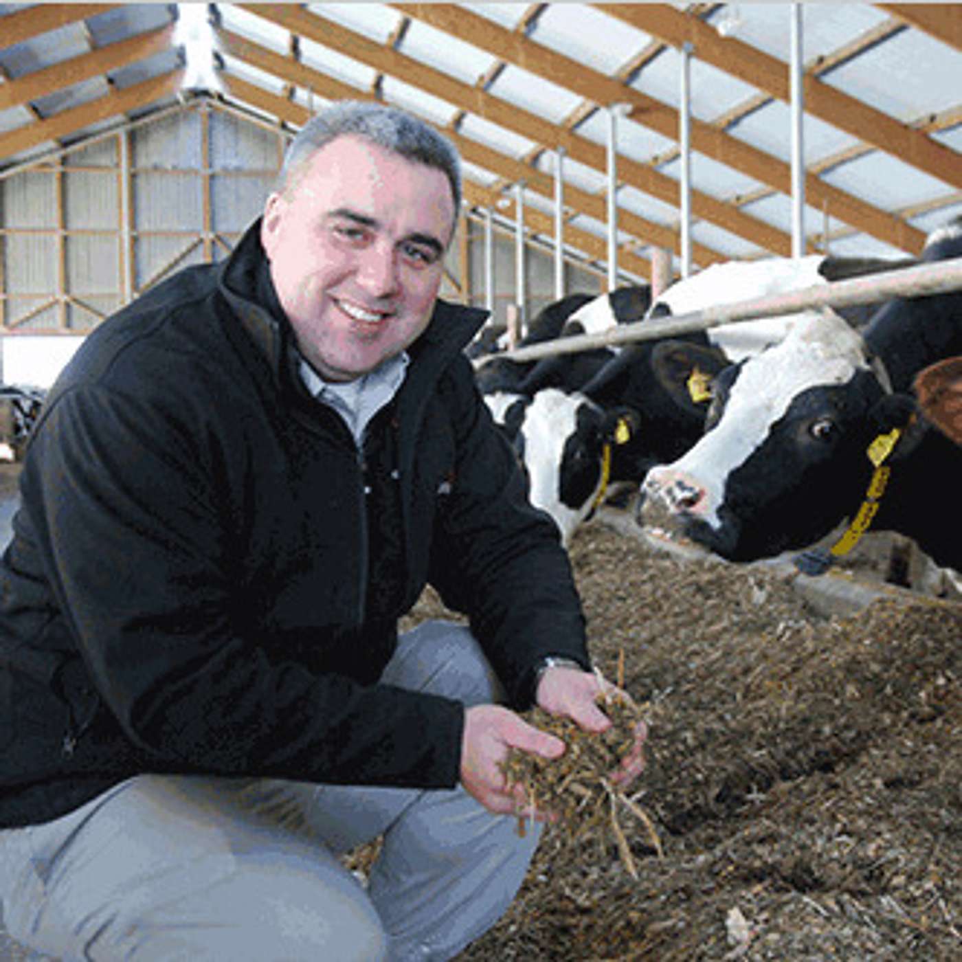 DairyVoice Podcast