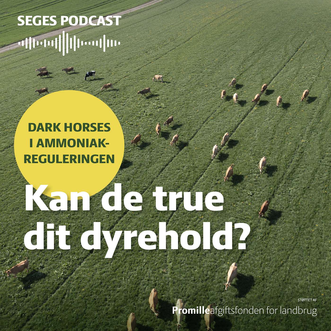 Dyrehold i stalden – så pas på dark horses, når din miljøgodkendelse revurderes Dyrehold i stalden – så pas på dark horses, når din miljøgodkendelse revurderes