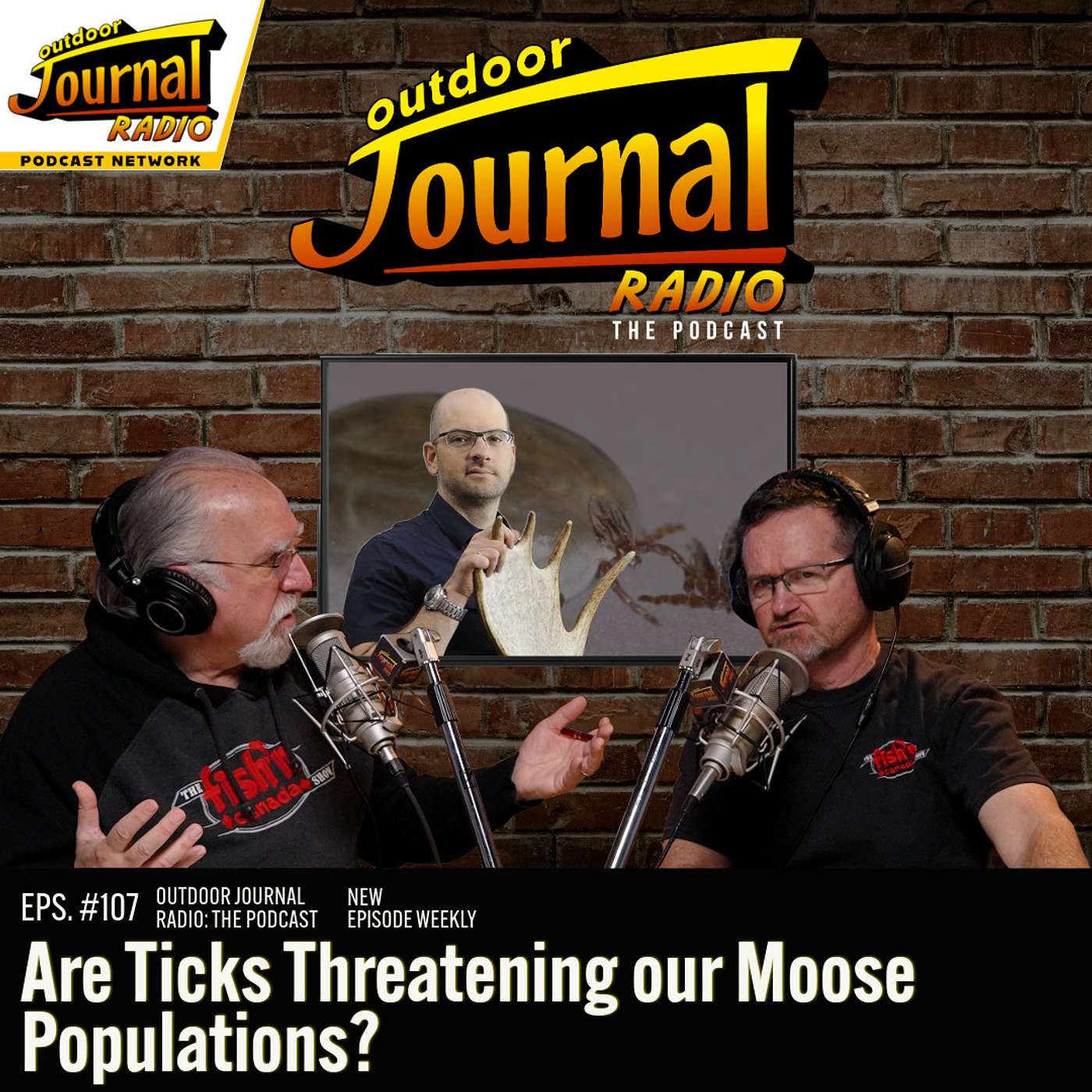 Episode 107: Are Ticks Threatening our Moose Populations (w/ Dr. Steeve Côté)