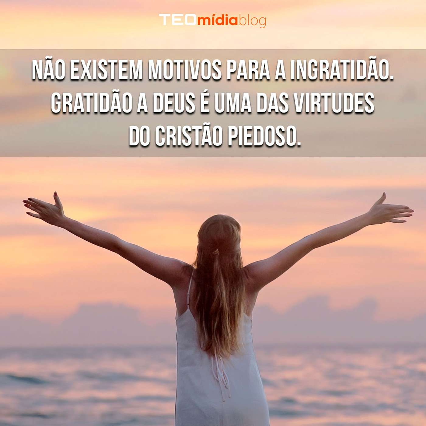 TEOmídia Blog