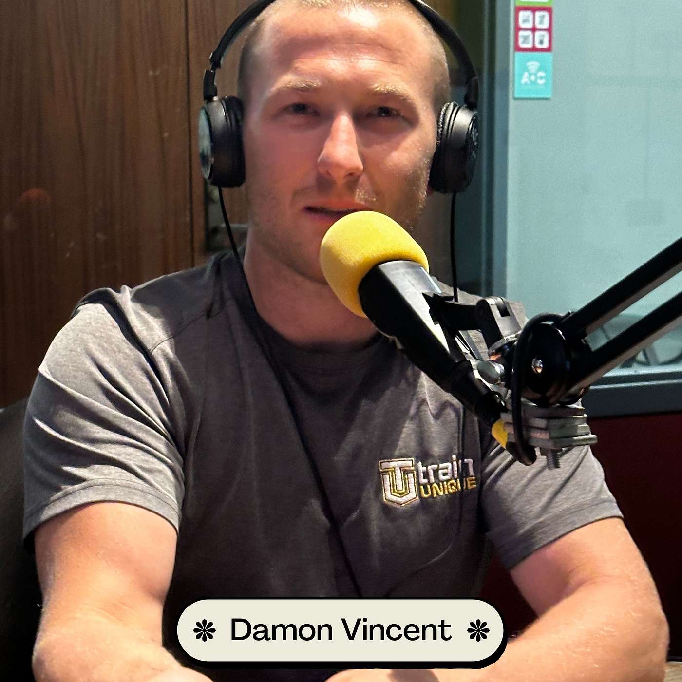 This Ability Podcast