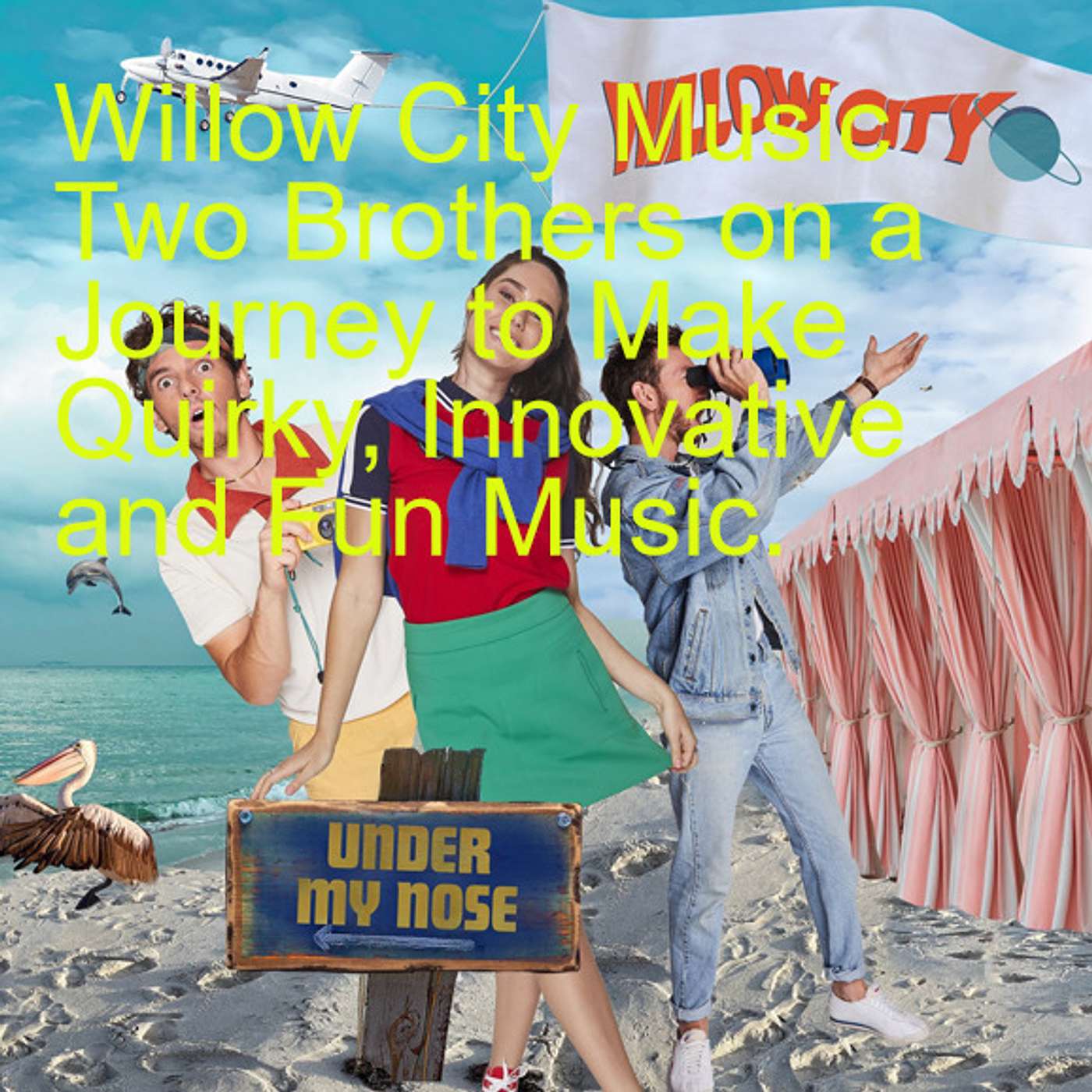 Willow City Music Two Brothers on a Journey to Make Quirky, Innovative and Fun Music. episode artwork