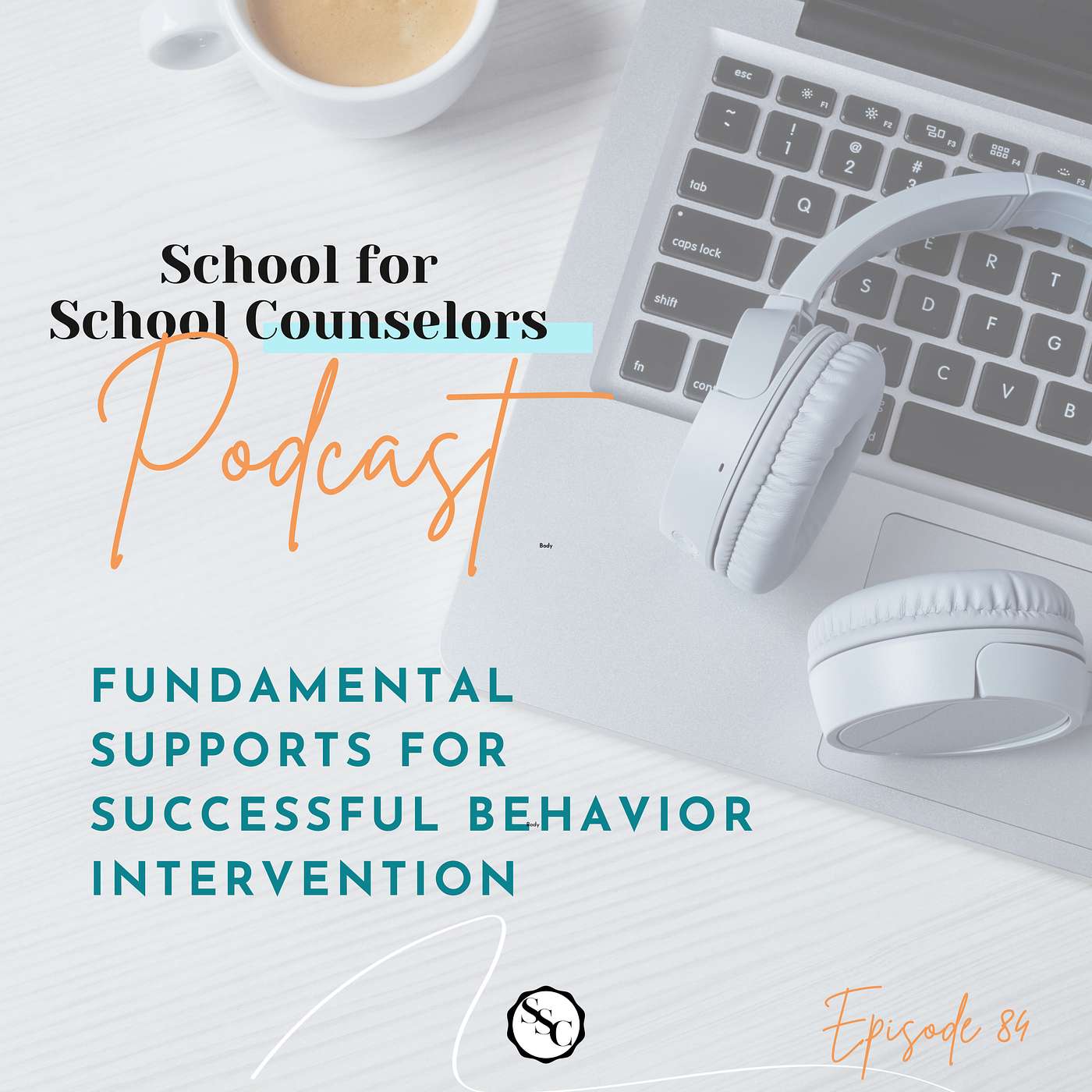 Fundamental Supports for Successful Behavior Intervention episode artwork