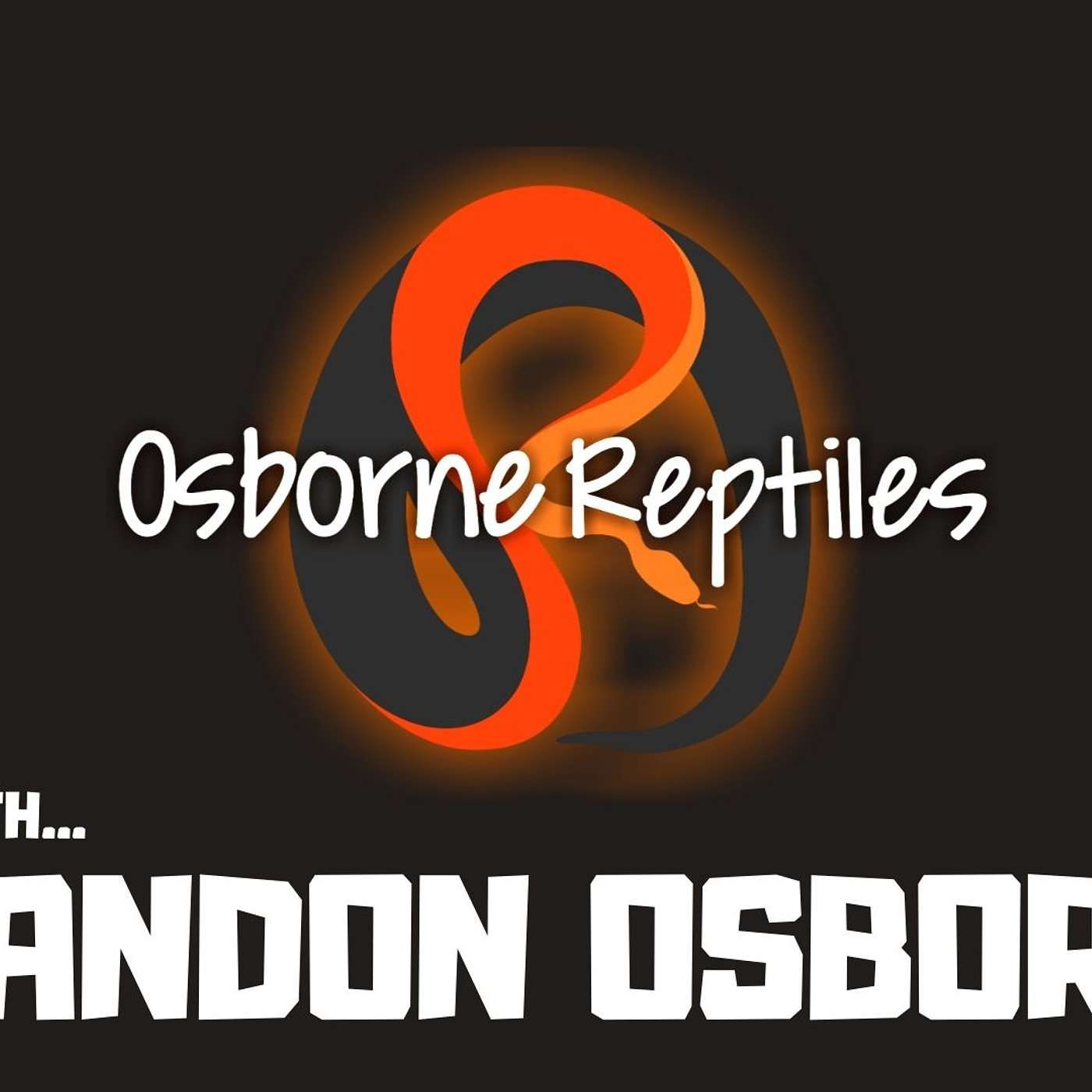 #67 BRANDON OSBORNE OF OSBORNE REPTILES | BALL PYTHON BREEDER | REPTILES | TRAP TALK PODCAST