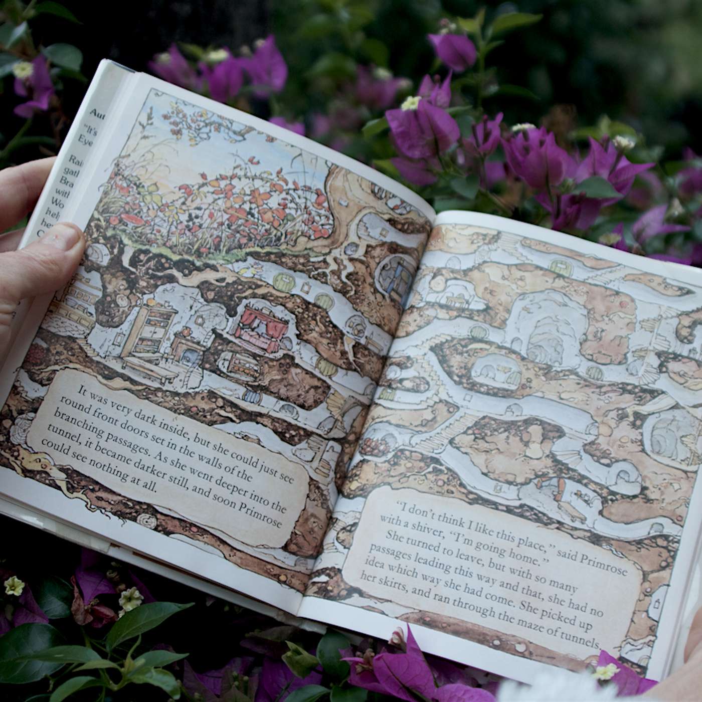 Plumb Pies In Paraguay