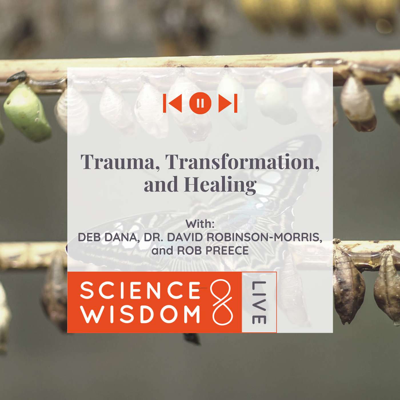 Trauma, Transformation, and Healing - with Deb Dana, Rob Preece, Dr. David Robinson-Morris, and Scott Snibbe episode artwork