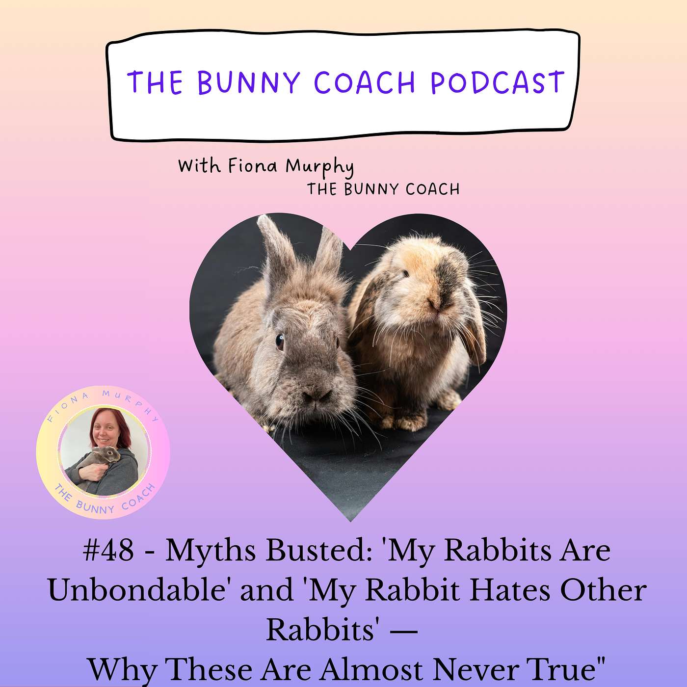 #48 - Mythbusting - My Rabbit Hates Other Rabbits or My Bunnies Are Unbondable episode artwork