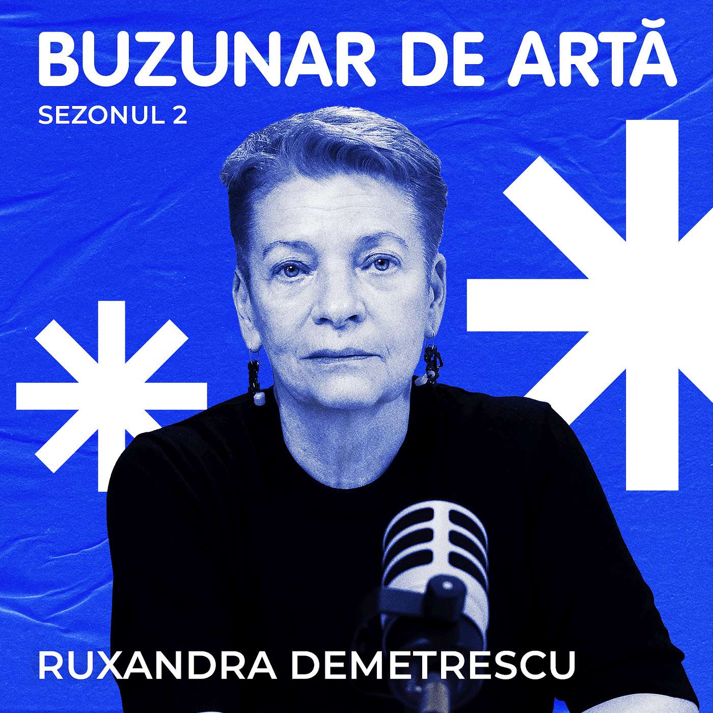 Podcast Buzunar de Artă