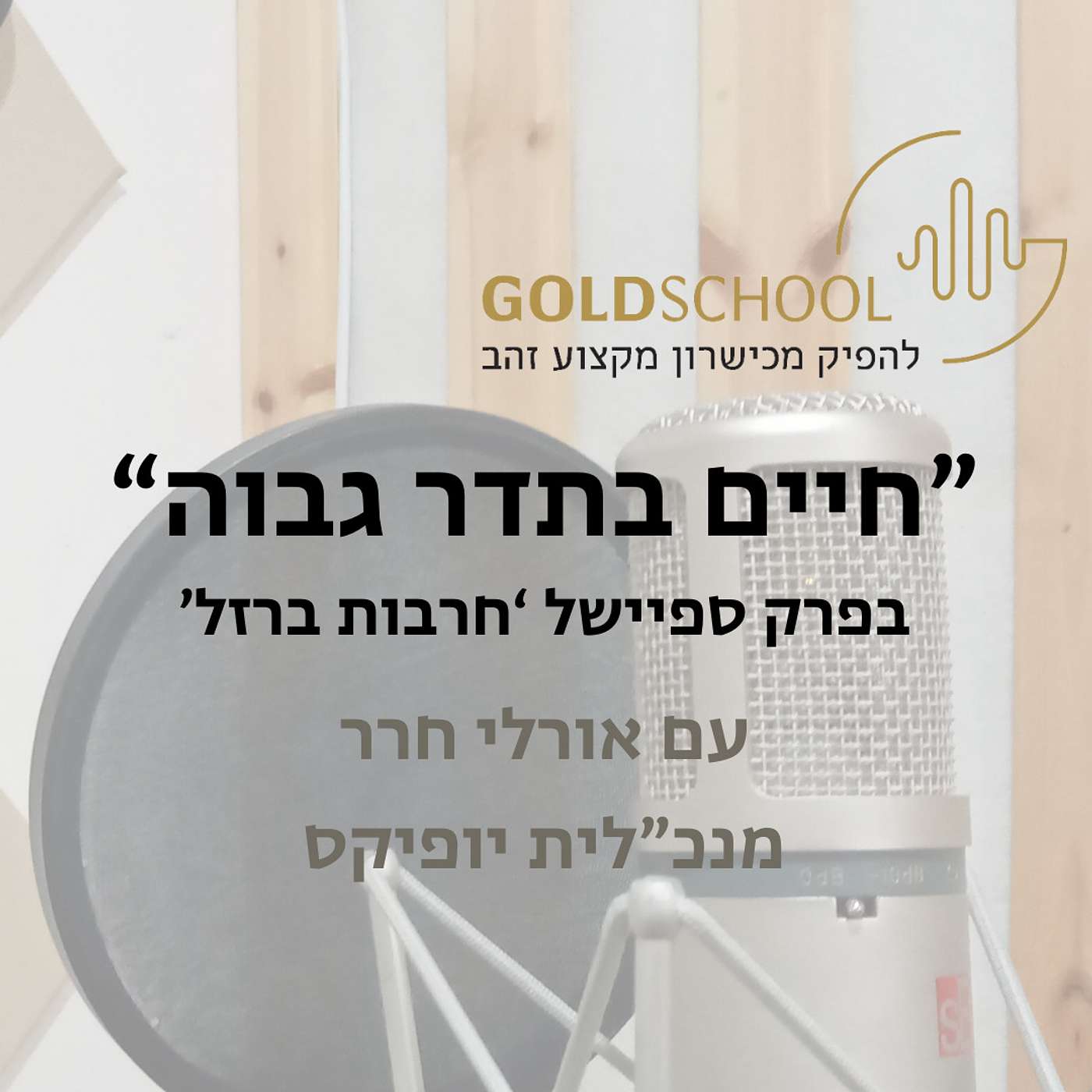 חיים בתדר גבוה בפרק עם אורלי חרר מנכ"לית יופיקס חלק 2 episode artwork