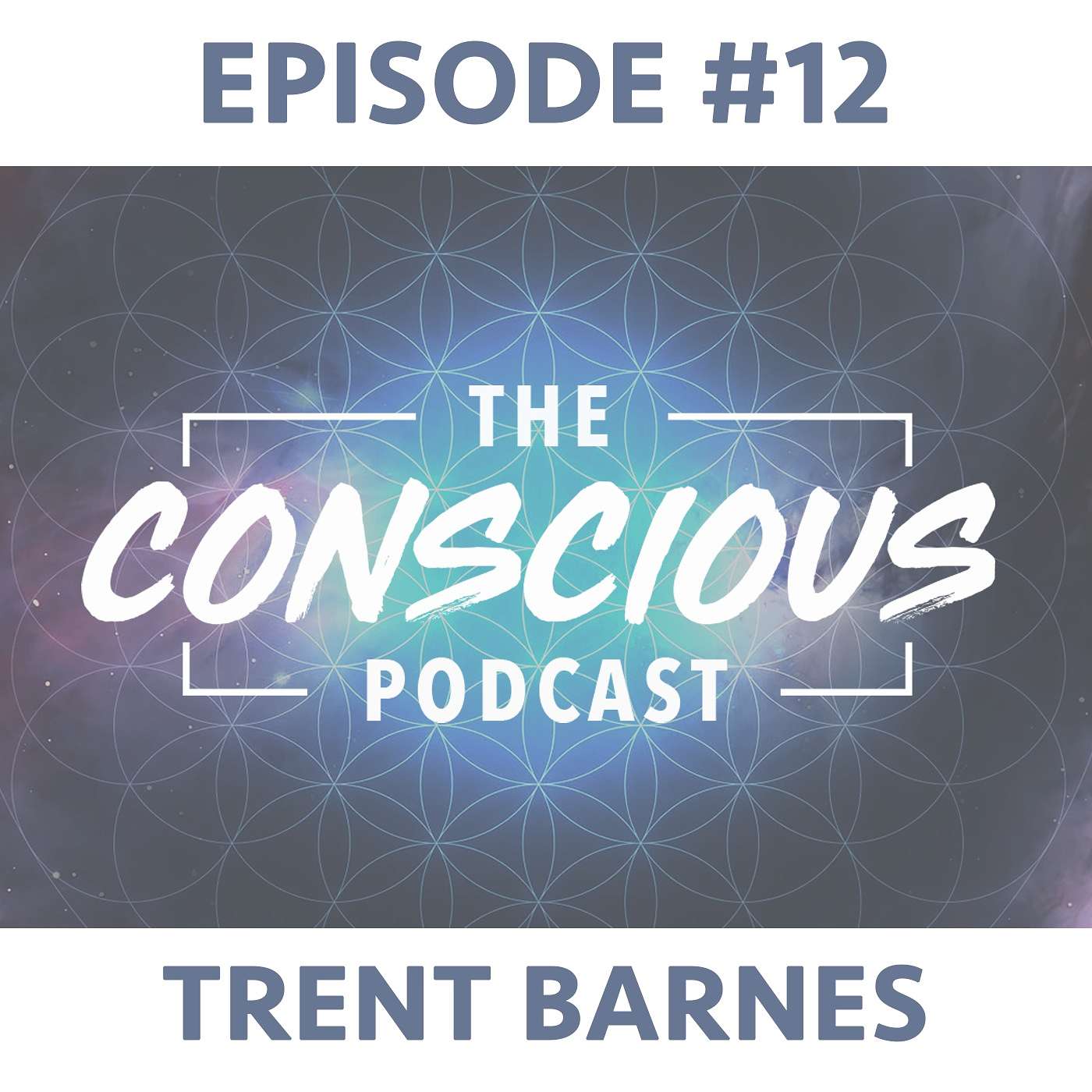 #12 - Trent Barnes on Doing More of What Makes You Come Alive & Giving Meaning to Your Life. episode artwork