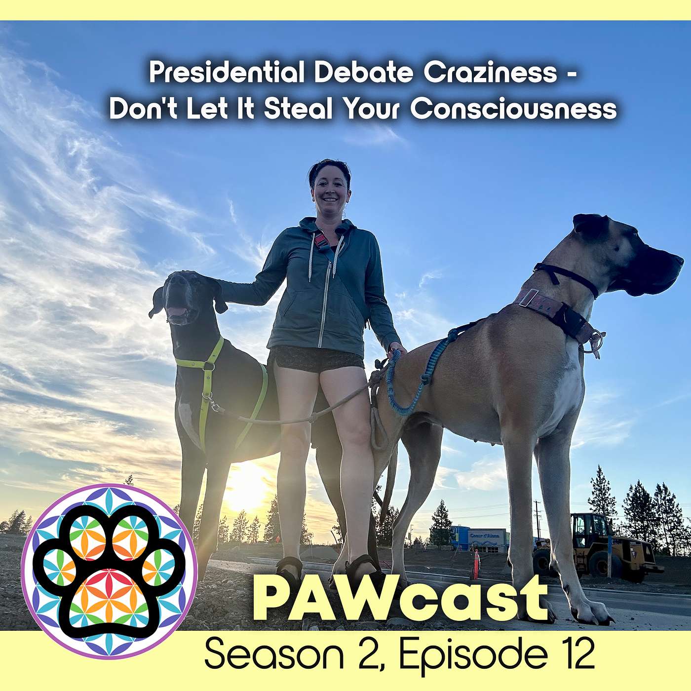 Presidential Debate Craziness - Don't Let It Steal Your Consciousness episode artwork