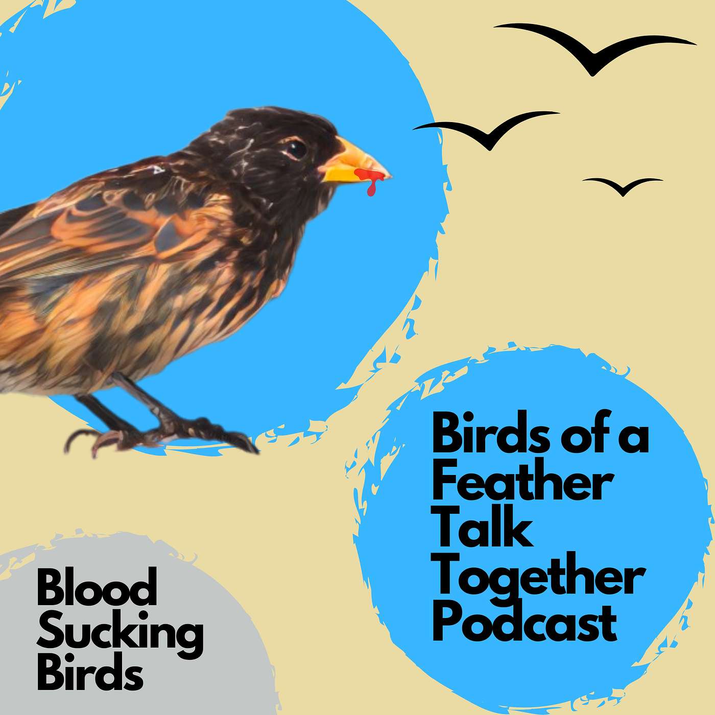 Birds of a Feather Talk Together