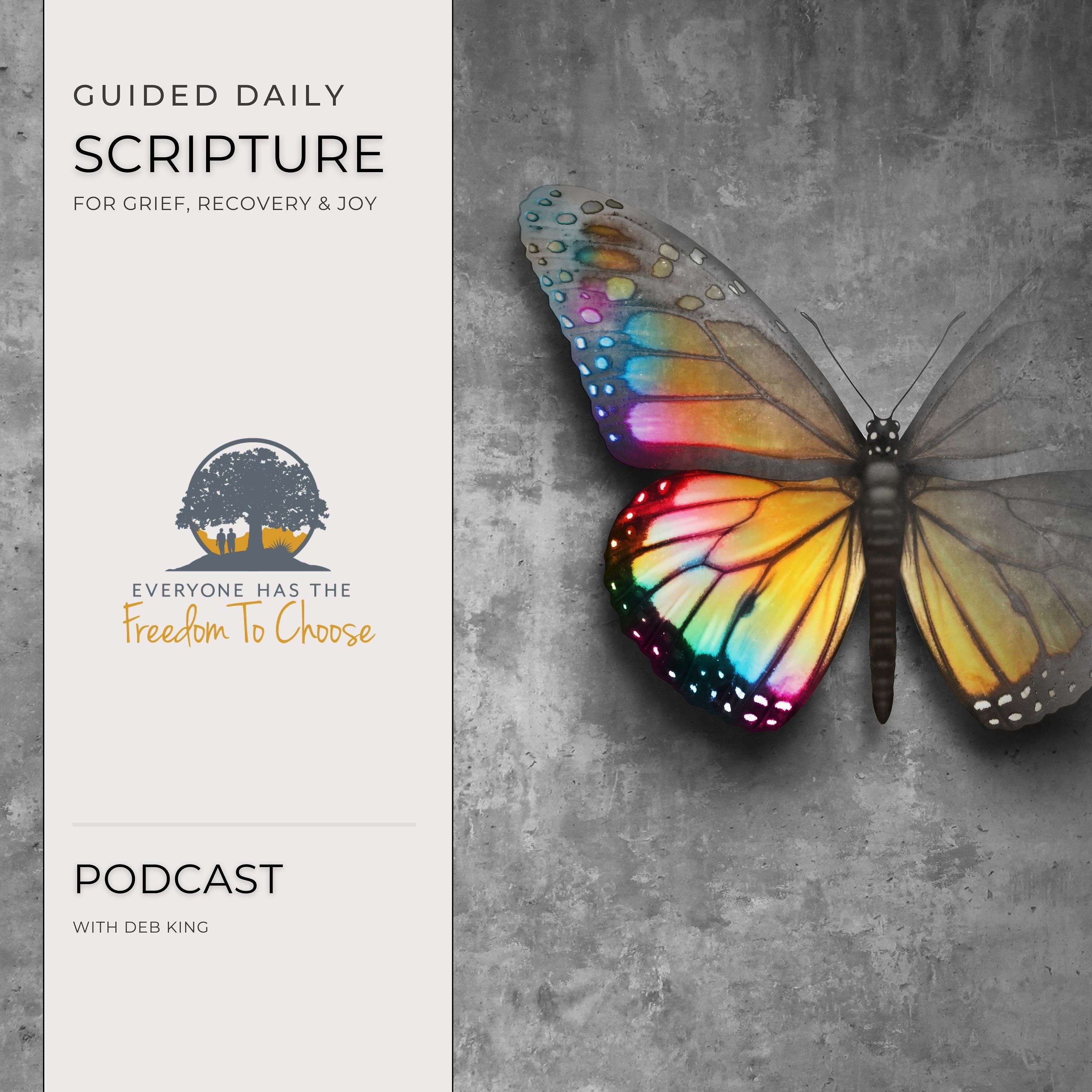 Guided Daily Scripture for Grief, Recovery & Finding Joy podcast artwork