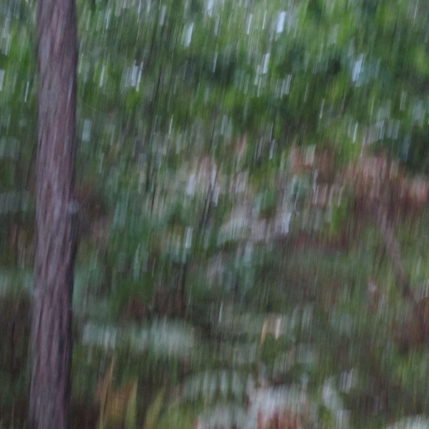 WALKING IN THE RAIN