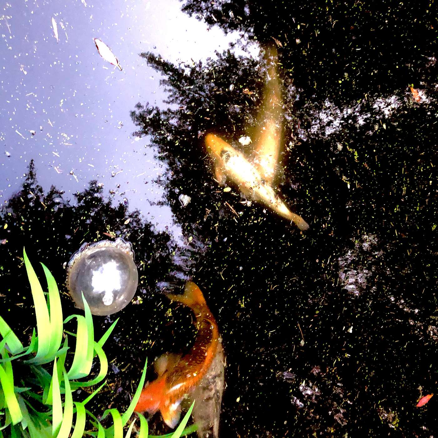 Grief House - Portals