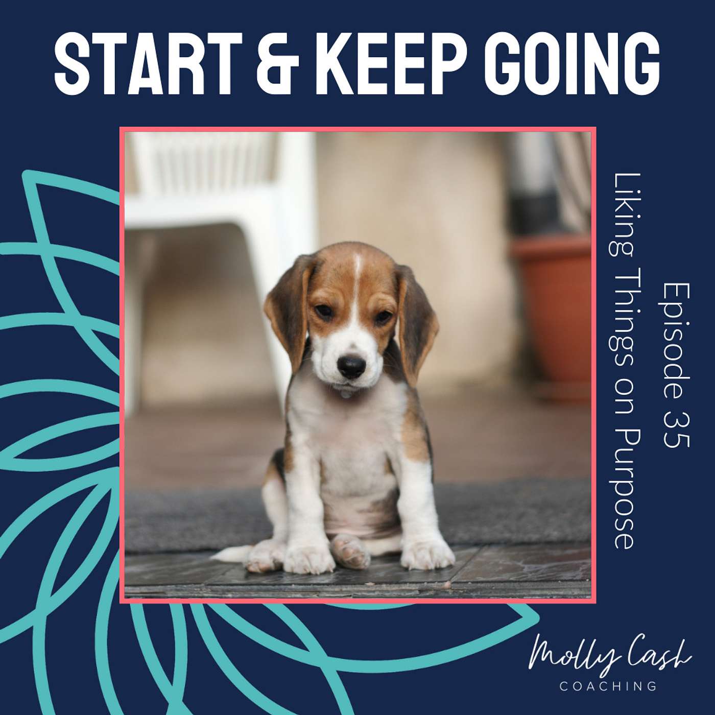 Liking Things on Purpose (or Why I Like Dogs - don't tell my kids)