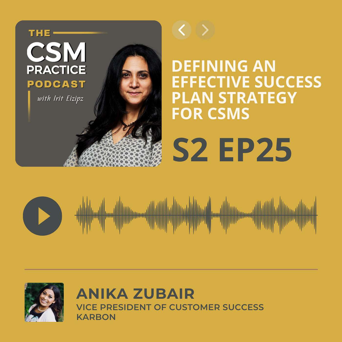 CSM Practice - The Customer Success Podcast