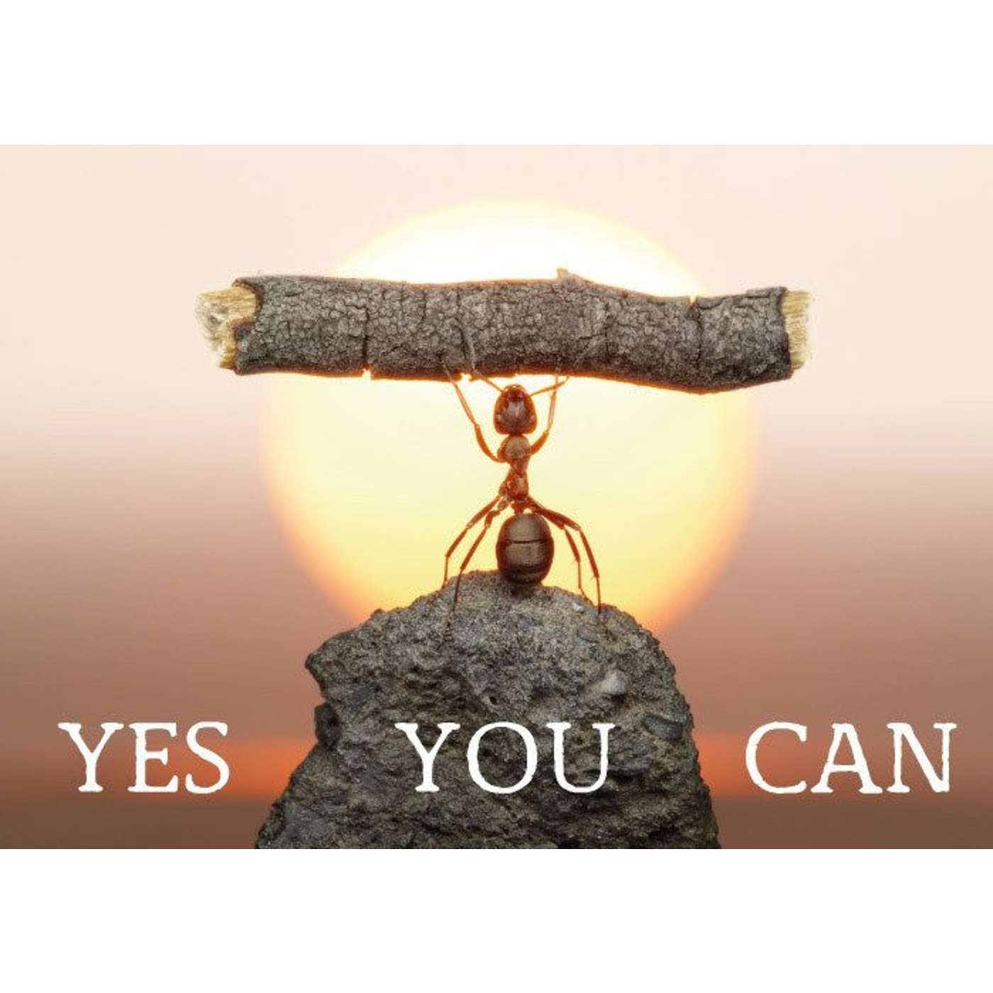 Episode 904 - This is what you MUST  Answer (Overcoming Challenges # 3)