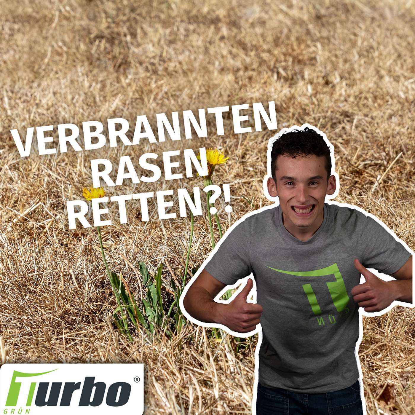 turbogrün | Rasentipps für unterwegs