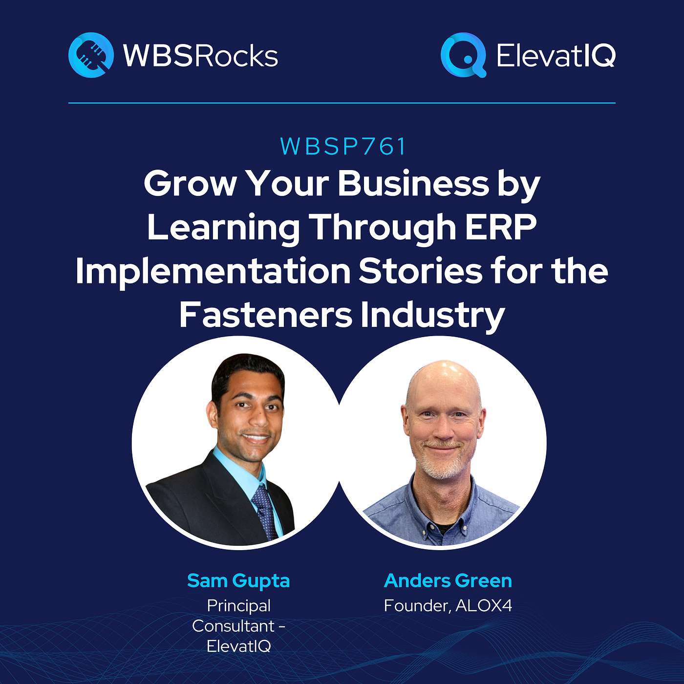 WBSP761: Grow Your Business by Learning from ERP Implementation Stories for the Fasteners Industry w/ Anders Green