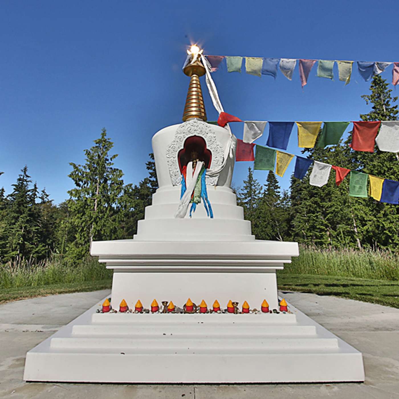 Experience the Magic of Earth Sanctuary with Chuck Pettis