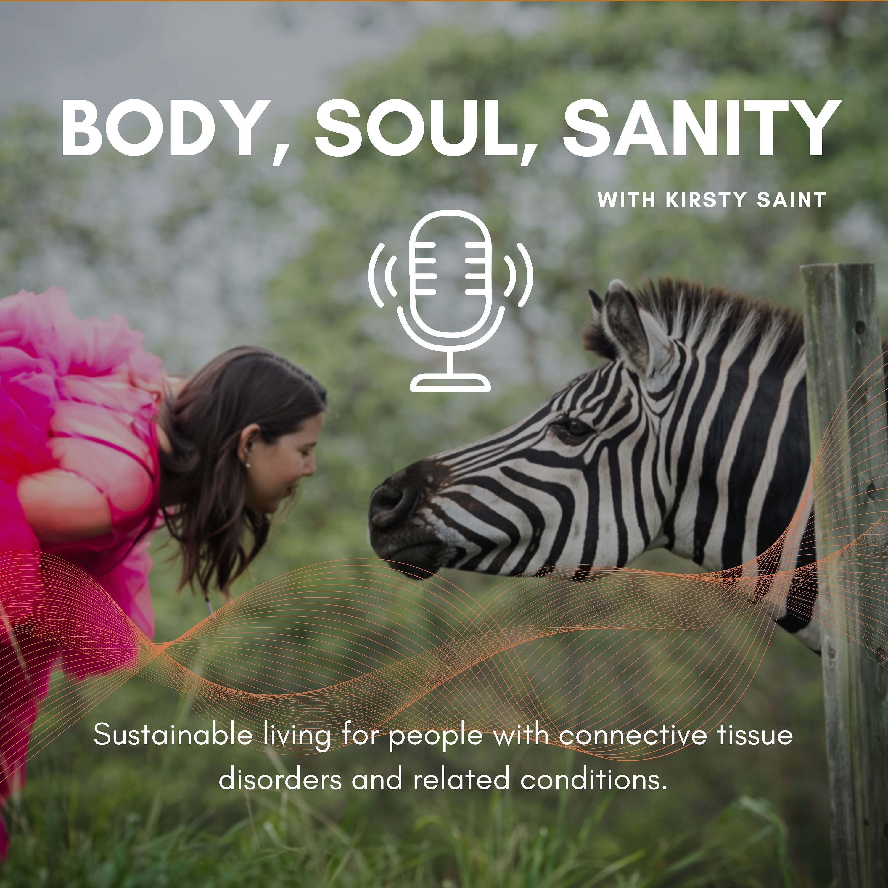 Body, Soul, Sanity: Sustainable living for people with connective tissue disorders and related conditions cover art
