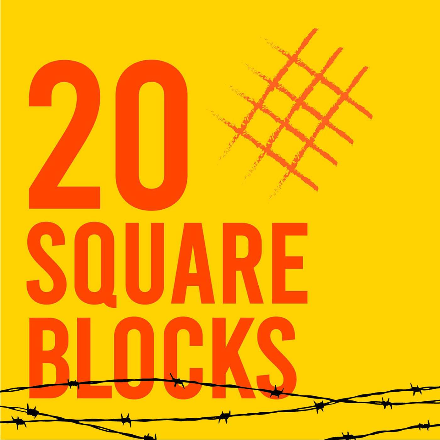 20 Square Blocks