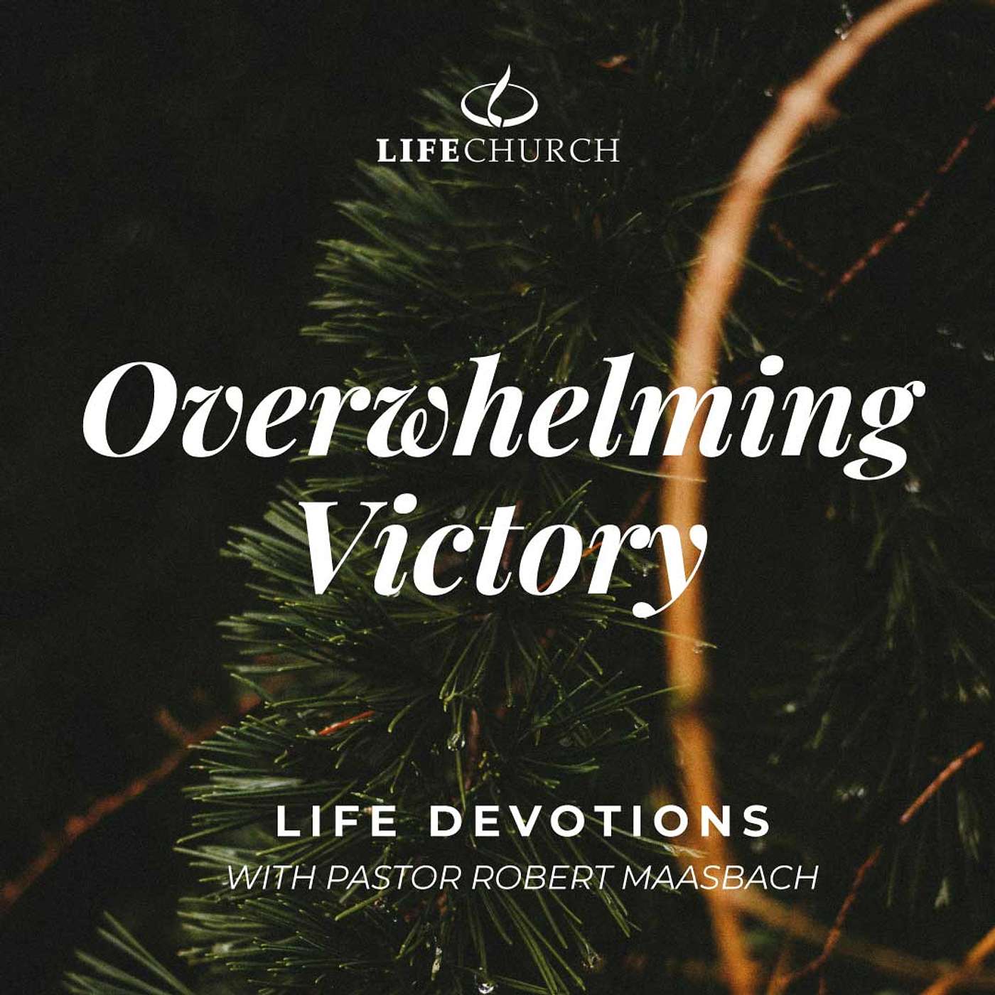 Overwhelming Victory - 20.12.24