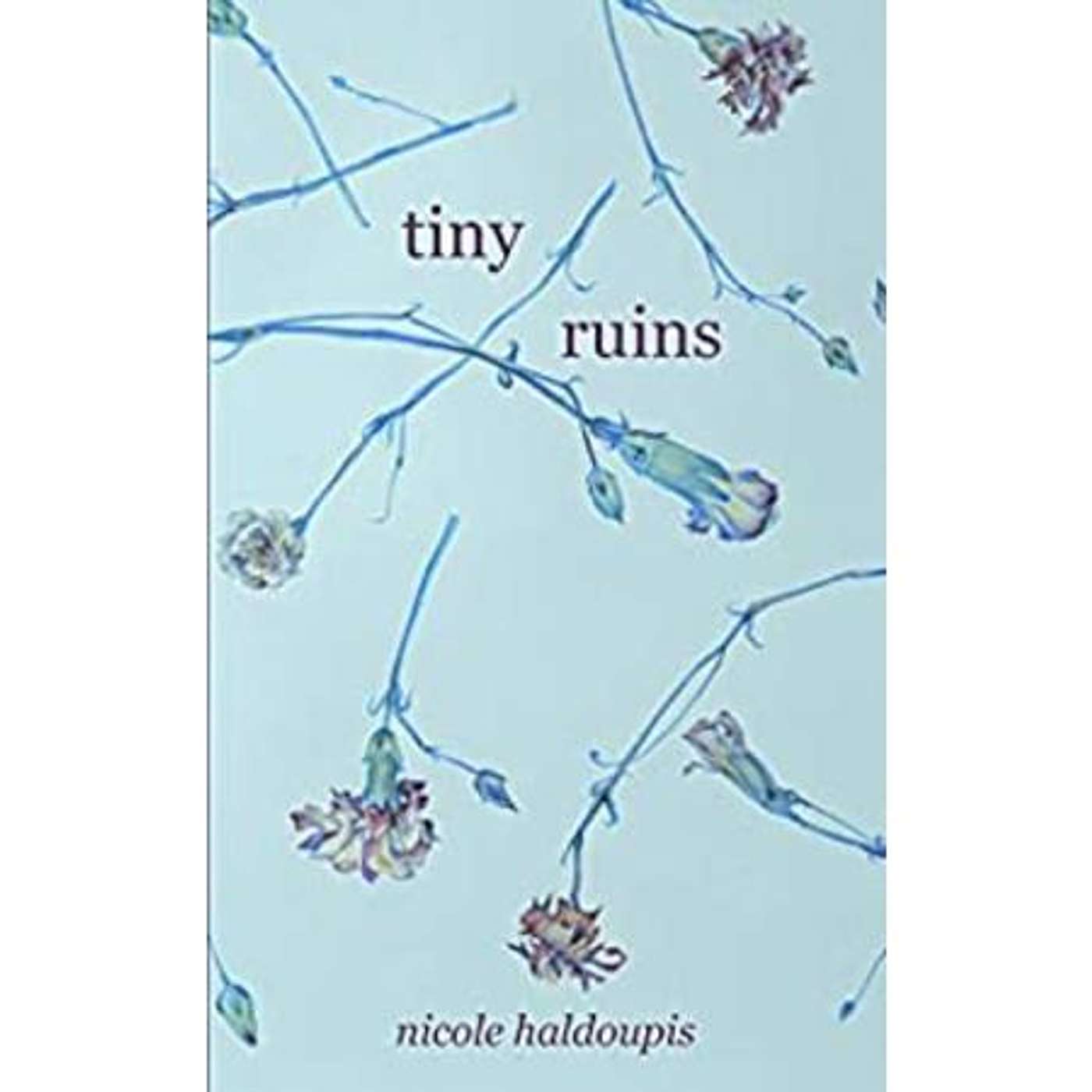 Meet Debut Author Nicole Haldoupis and her Tiny Ruins on Book Lights episode artwork