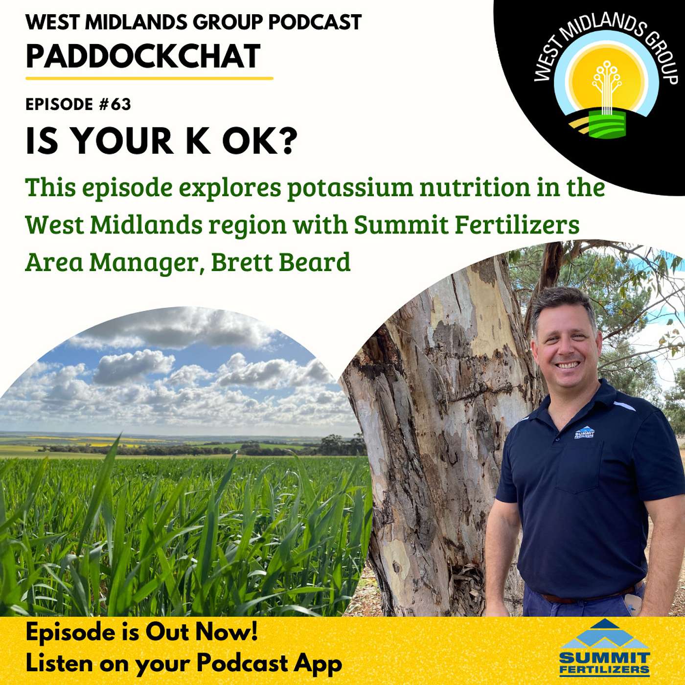 Is Your K OK? Potassium Nutrition Under the Spotlight Is Your K OK? Potassium Nutrition Under the Spotlight