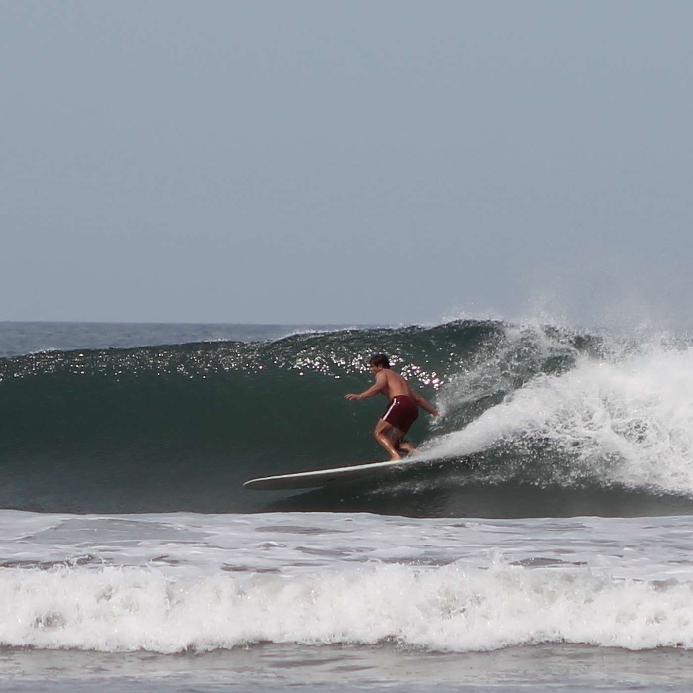 Episode 208: Surf's Up, Florida: Surfing, Sharks are Fun, and the Best Place To Surf in Florida