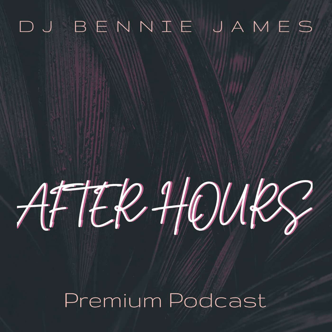 DJ Bennie James Podcast + (Premium) 🔓